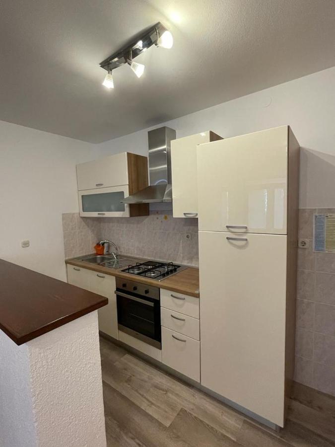 Apartment Vrankovic *
